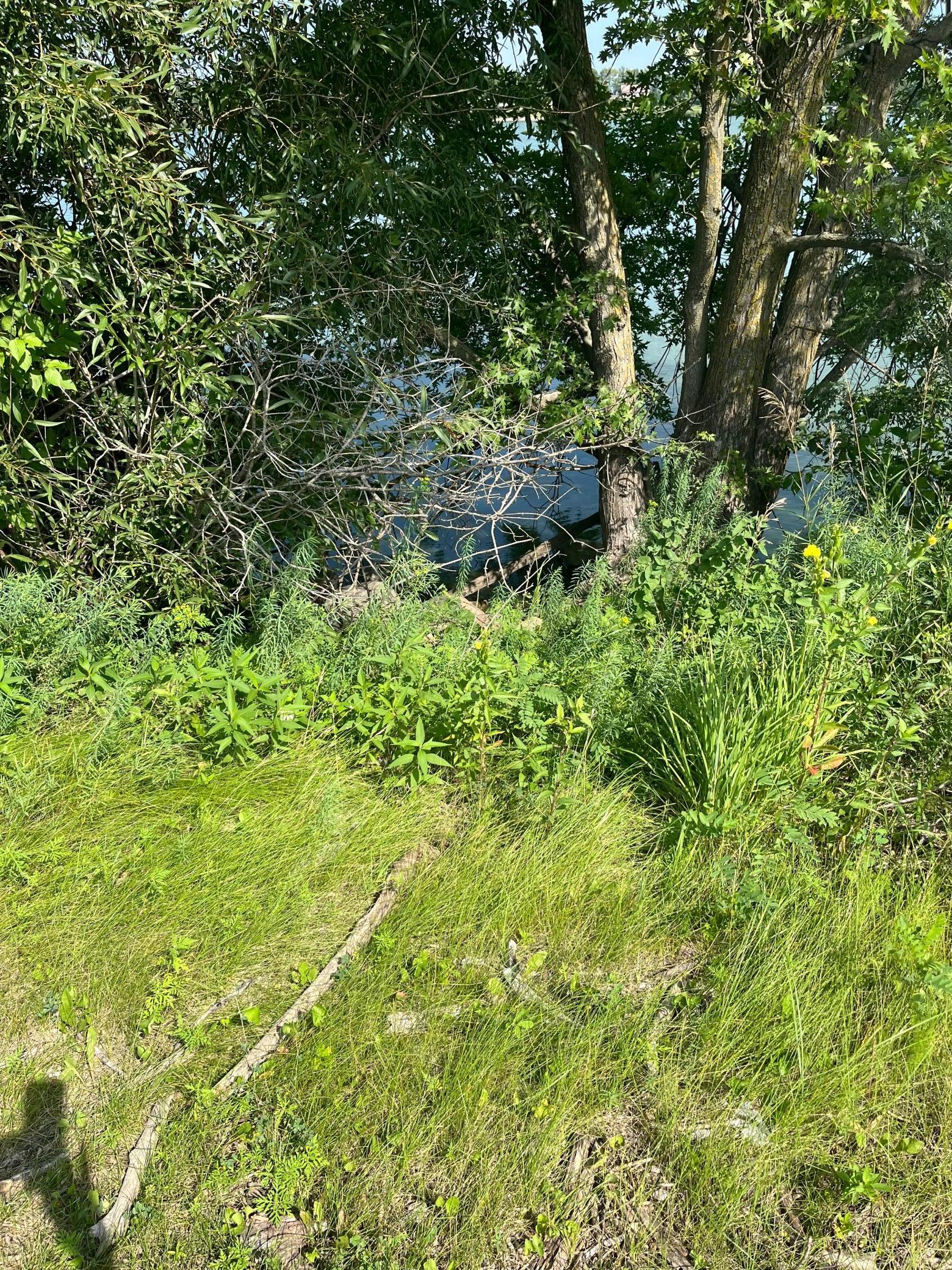 640 Southwest Lake Street Avoca, MN 56114 - Photo 4 of 8