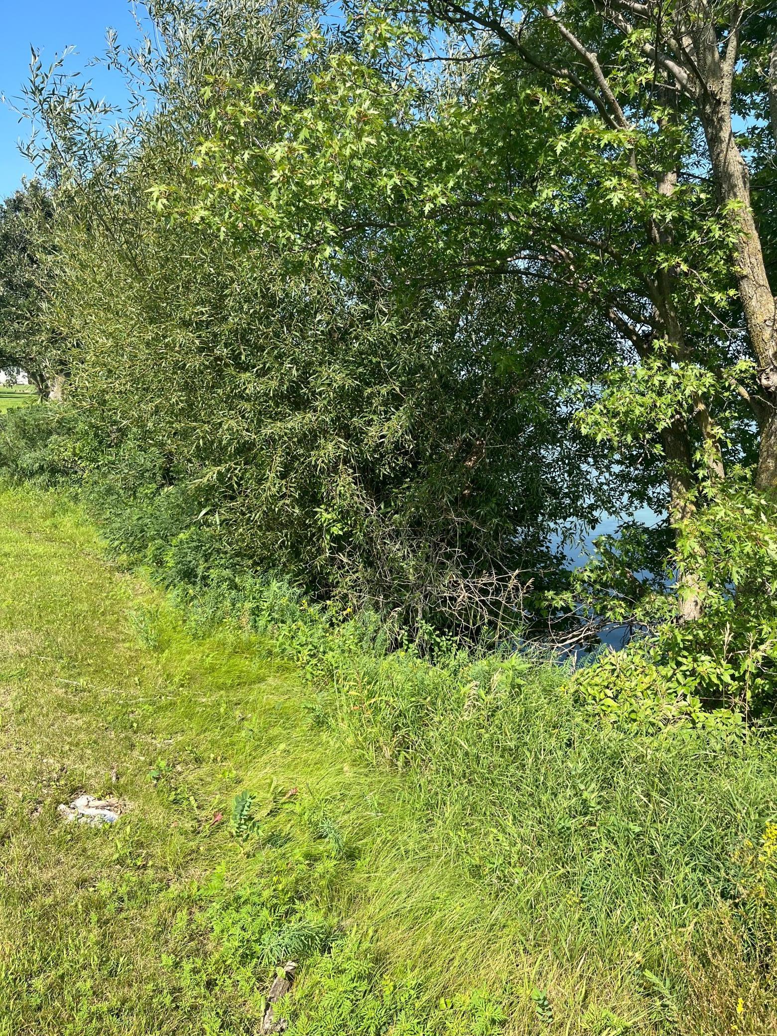 640 Southwest Lake Street Avoca, MN 56114 - Photo 5 of 8