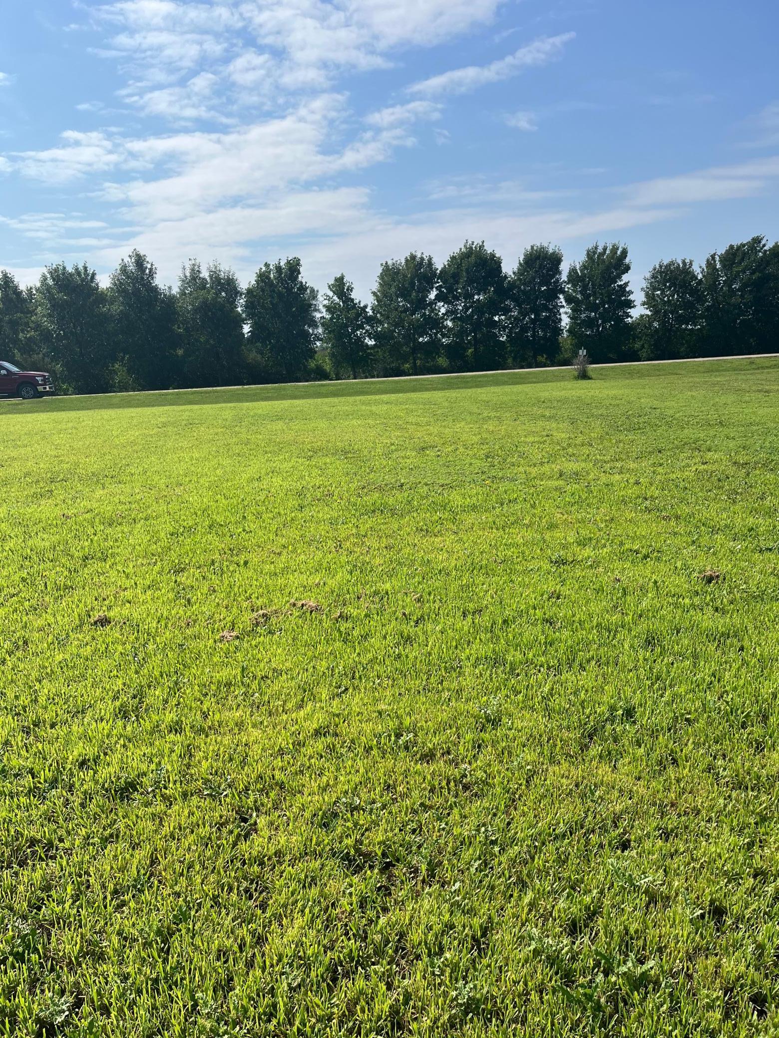 640 Southwest Lake Street Avoca, MN 56114 - Photo 6 of 8