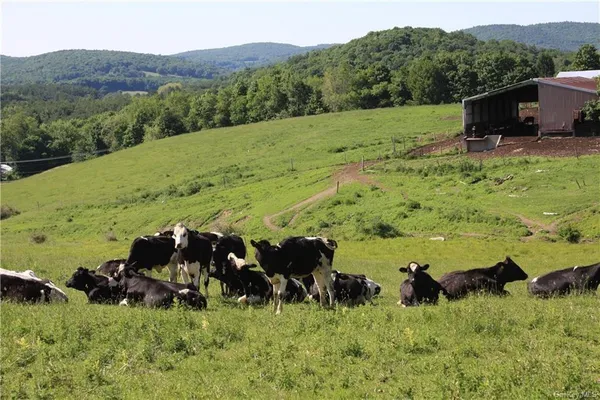 $1,080,000 | Yonderview Road, Hillsdale, NY 12529