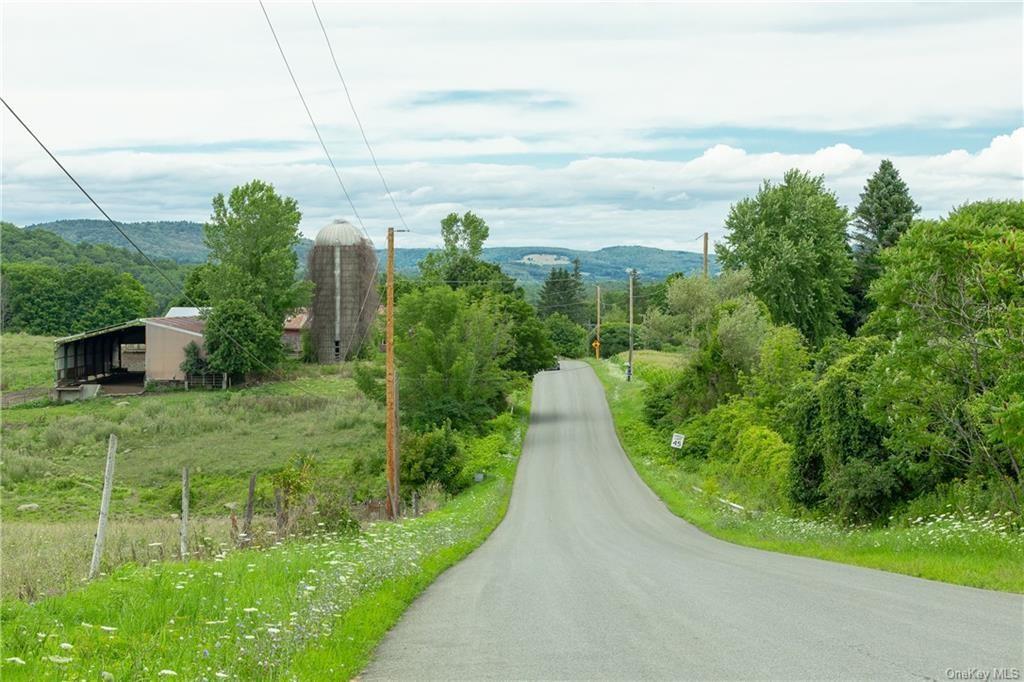 Yonderview Road Hillsdale, NY 12529 - Photo 5 of 13