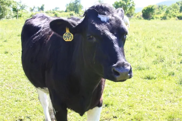 $1,080,000 | Yonderview Road, Hillsdale, NY 12529