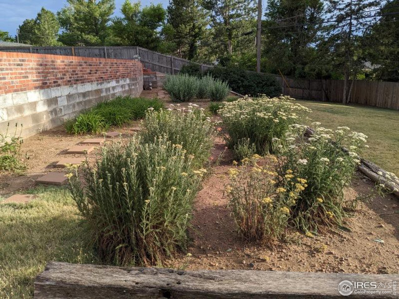 2425 Sunset Lane Greeley, CO 80634 - Photo 26 of 28 a backyard of a house with lots of green space
