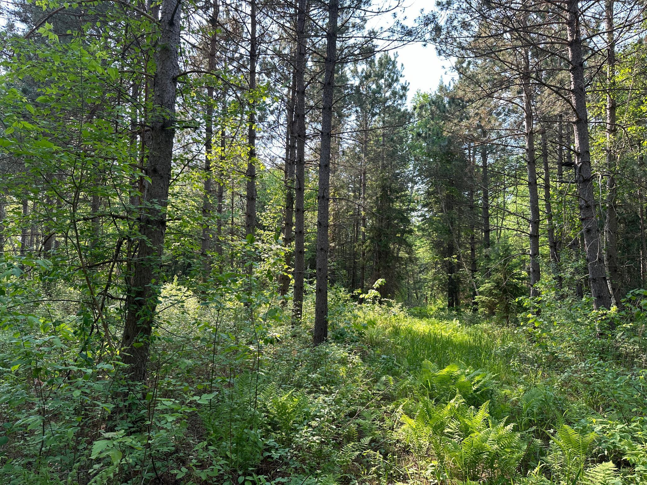 Tbd Tbd 52nd Street Southwest Pequot Lakes, MN 56472 - Photo 12 of 24