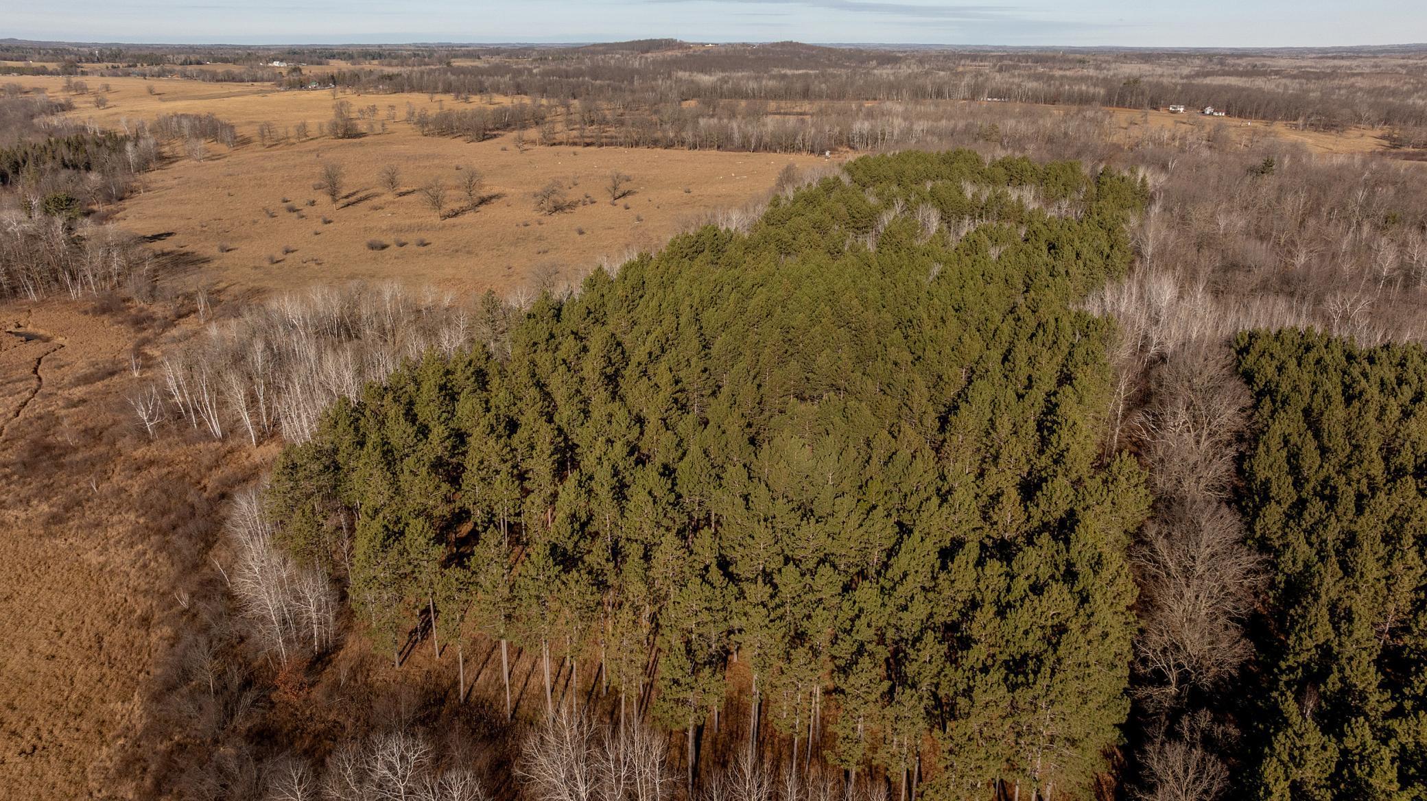 Tbd Tbd 52nd Street Southwest Pequot Lakes, MN 56472 - Photo 15 of 24