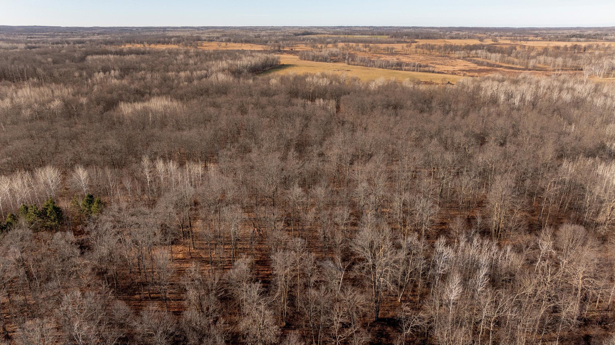 Tbd Tbd 52nd Street Southwest Pequot Lakes, MN 56472 - Photo 16 of 24
