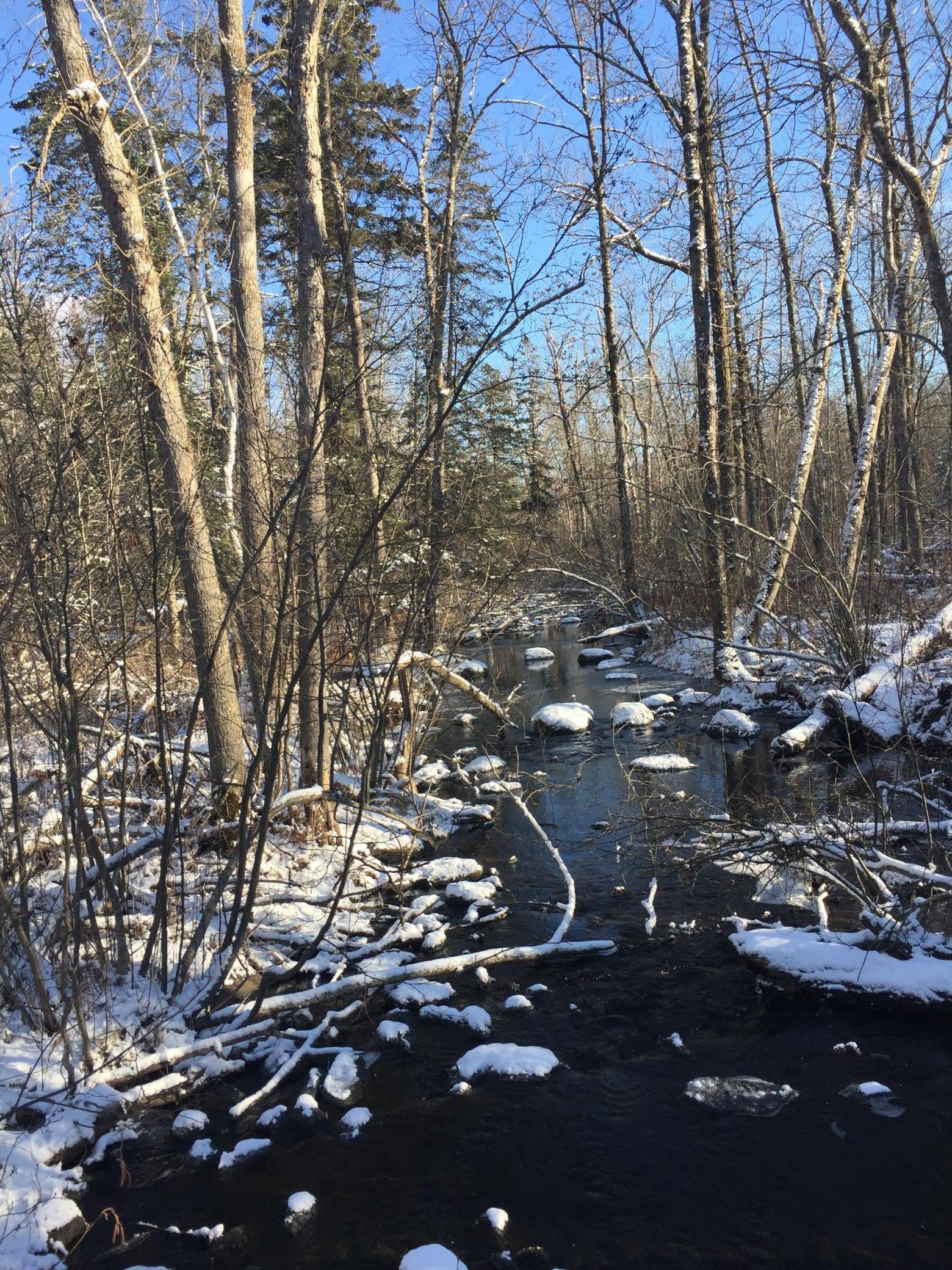 Tbd Tbd 52nd Street Southwest Pequot Lakes, MN 56472 - Photo 20 of 24