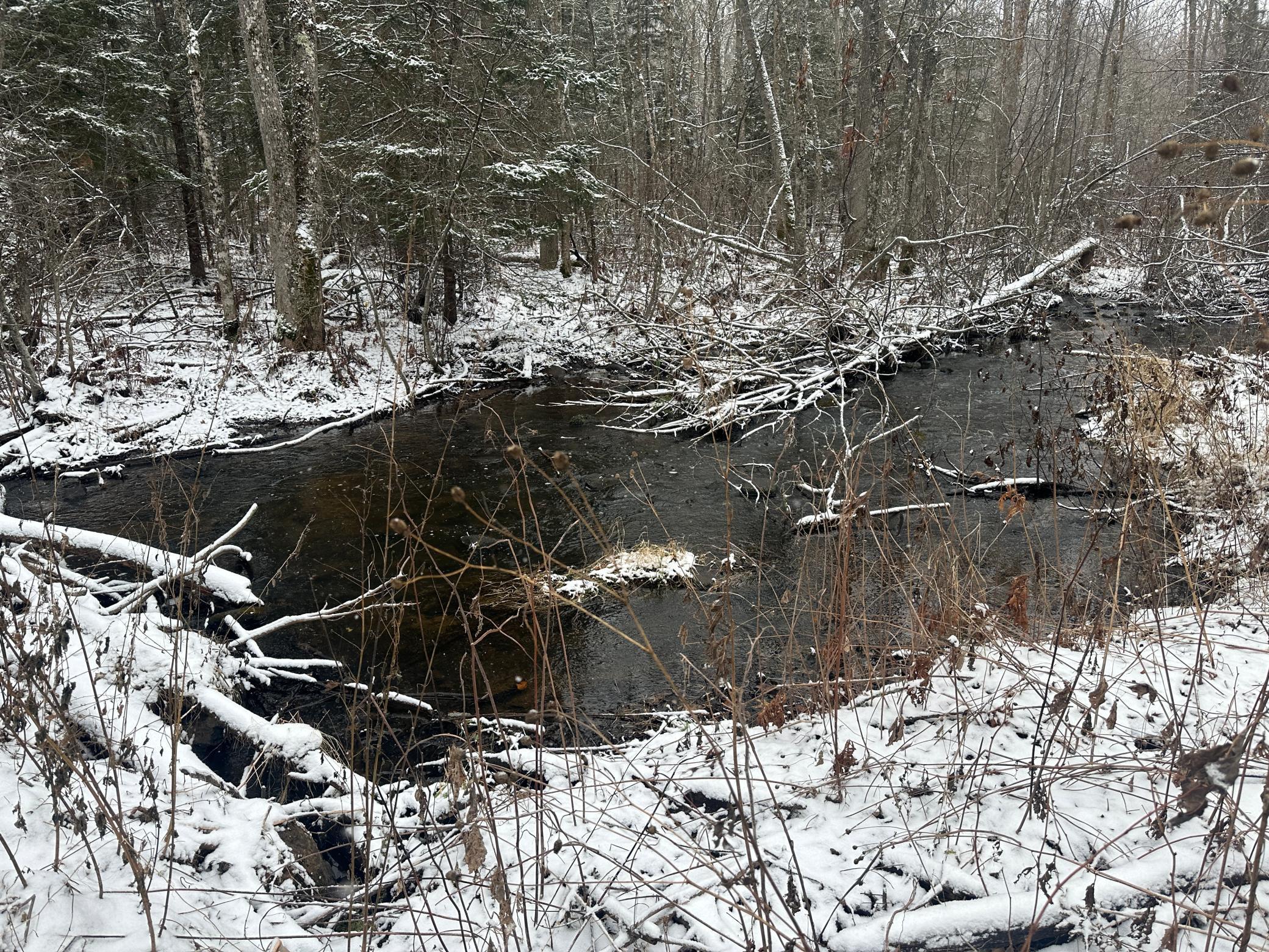 Tbd Tbd 52nd Street Southwest Pequot Lakes, MN 56472 - Photo 21 of 24