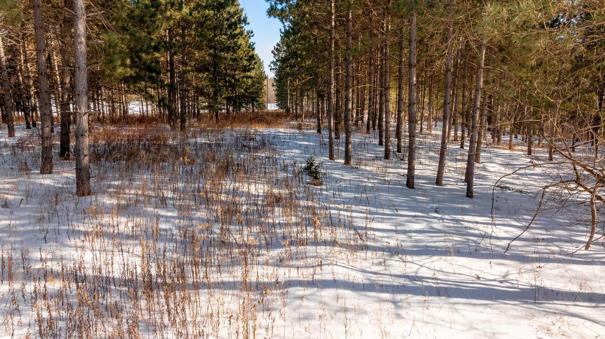 Tbd Tbd 52nd Street Southwest Pequot Lakes, MN 56472 - Photo 22 of 24