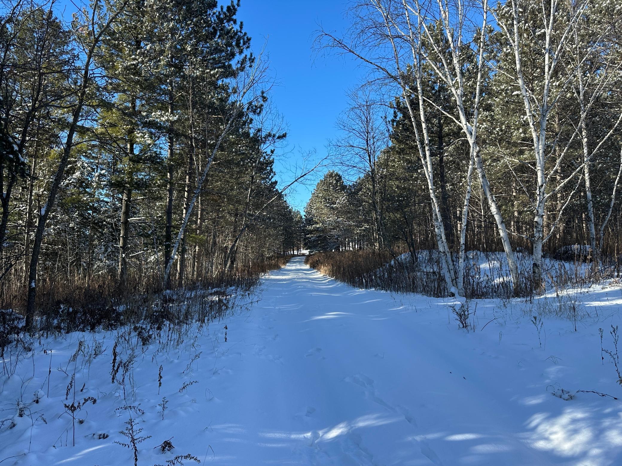 Tbd Tbd 52nd Street Southwest Pequot Lakes, MN 56472 - Photo 23 of 24