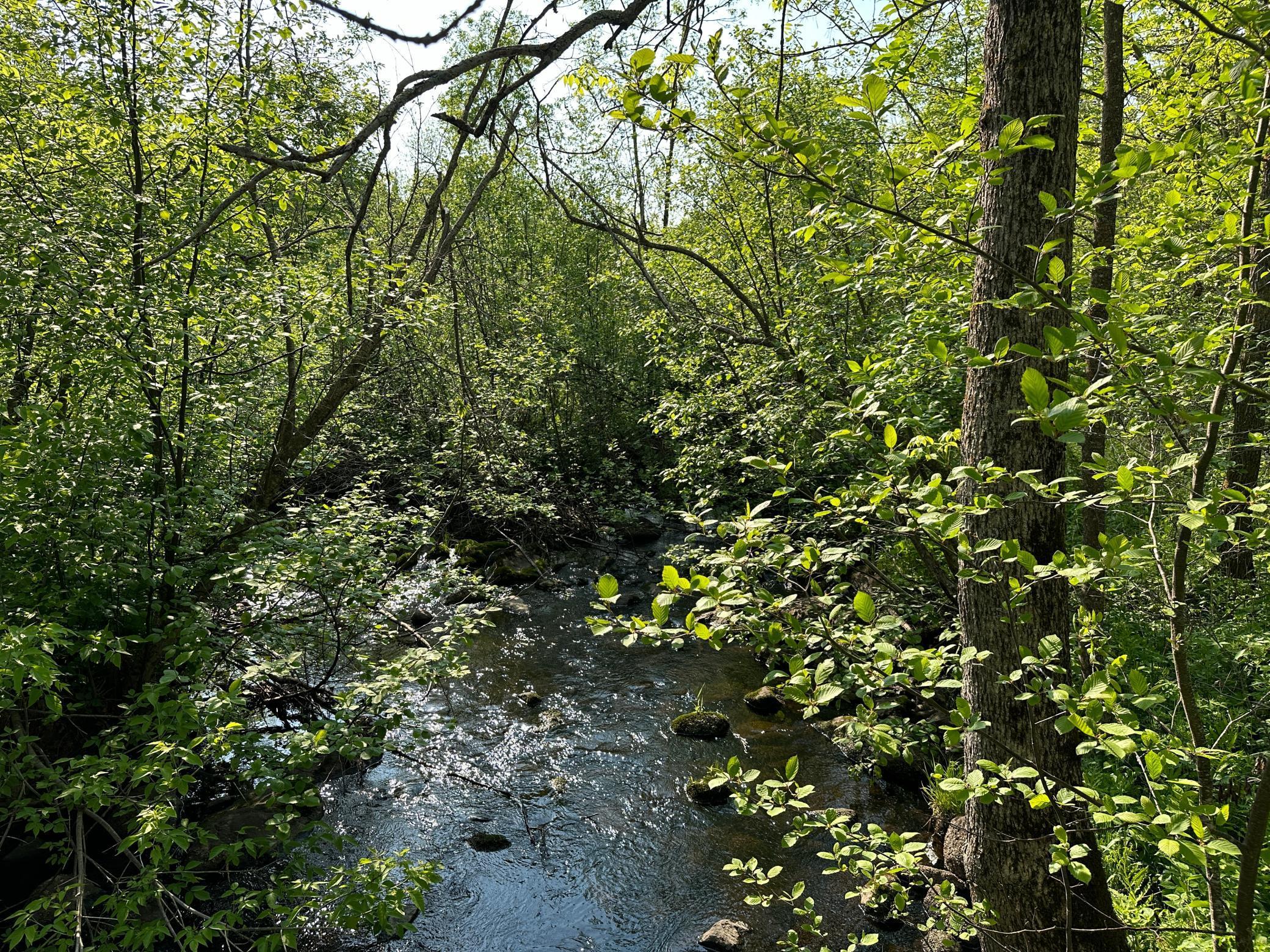 Tbd Tbd 52nd Street Southwest Pequot Lakes, MN 56472 - Photo 7 of 24