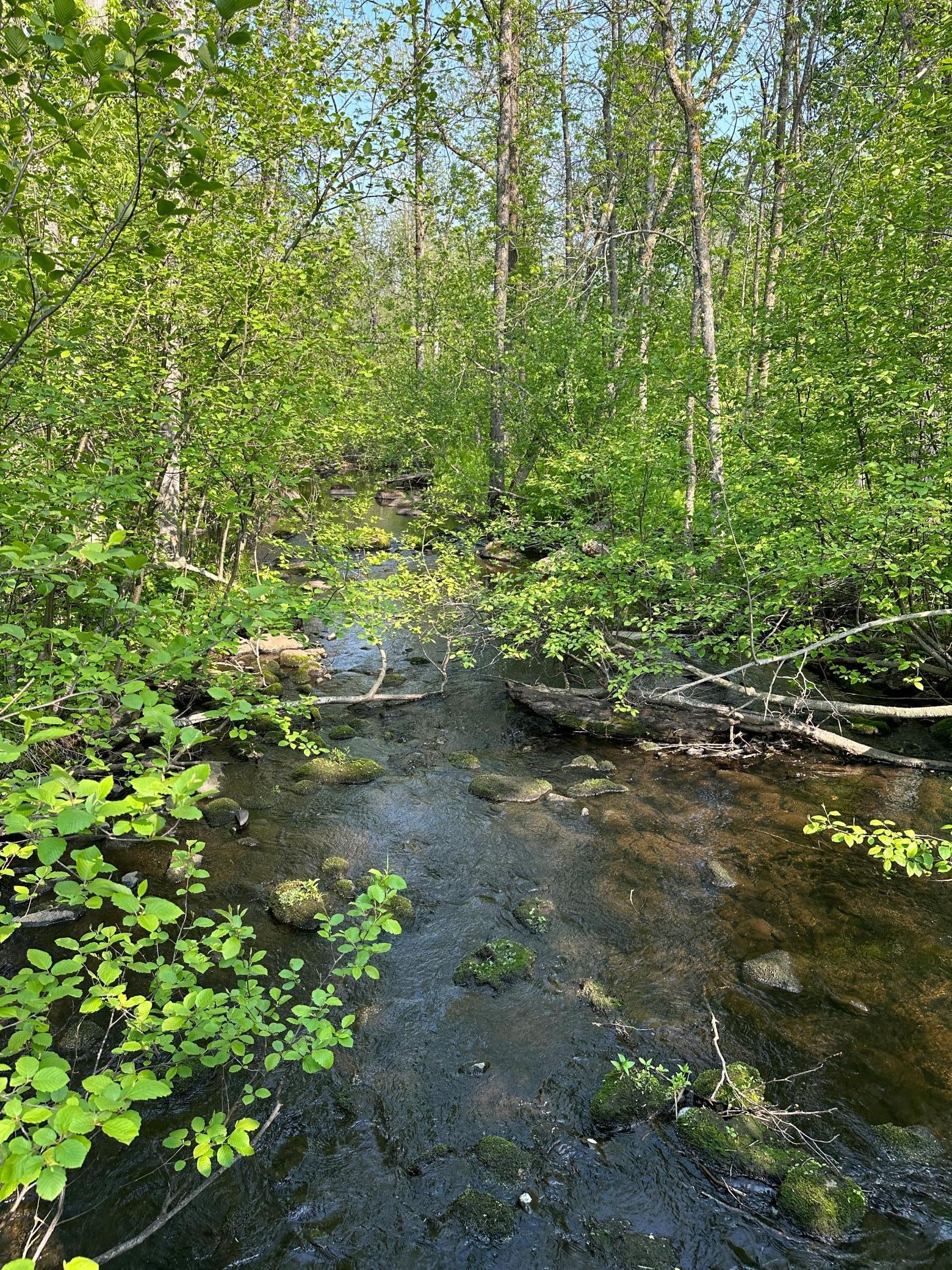 Tbd Tbd 52nd Street Southwest Pequot Lakes, MN 56472 - Photo 8 of 24