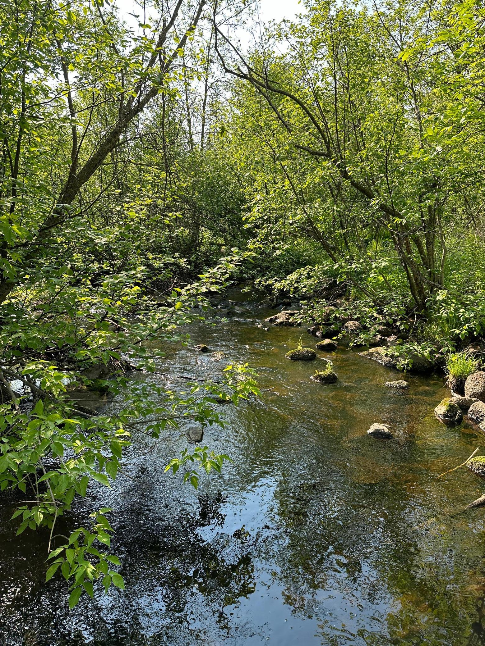 Tbd Tbd 52nd Street Southwest Pequot Lakes, MN 56472 - Photo 9 of 24