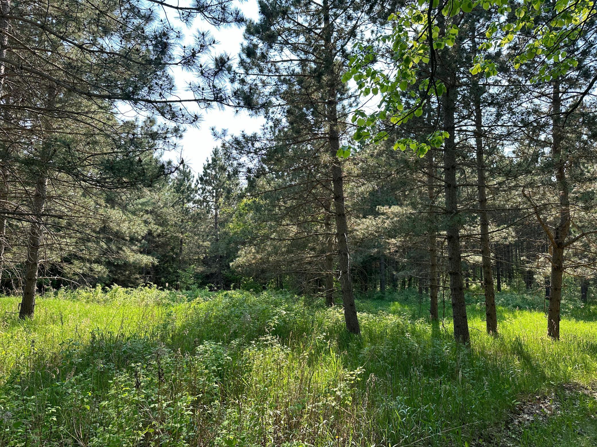 Tbd Tbd 52nd Street Southwest Pequot Lakes, MN 56472 - Photo 10 of 24