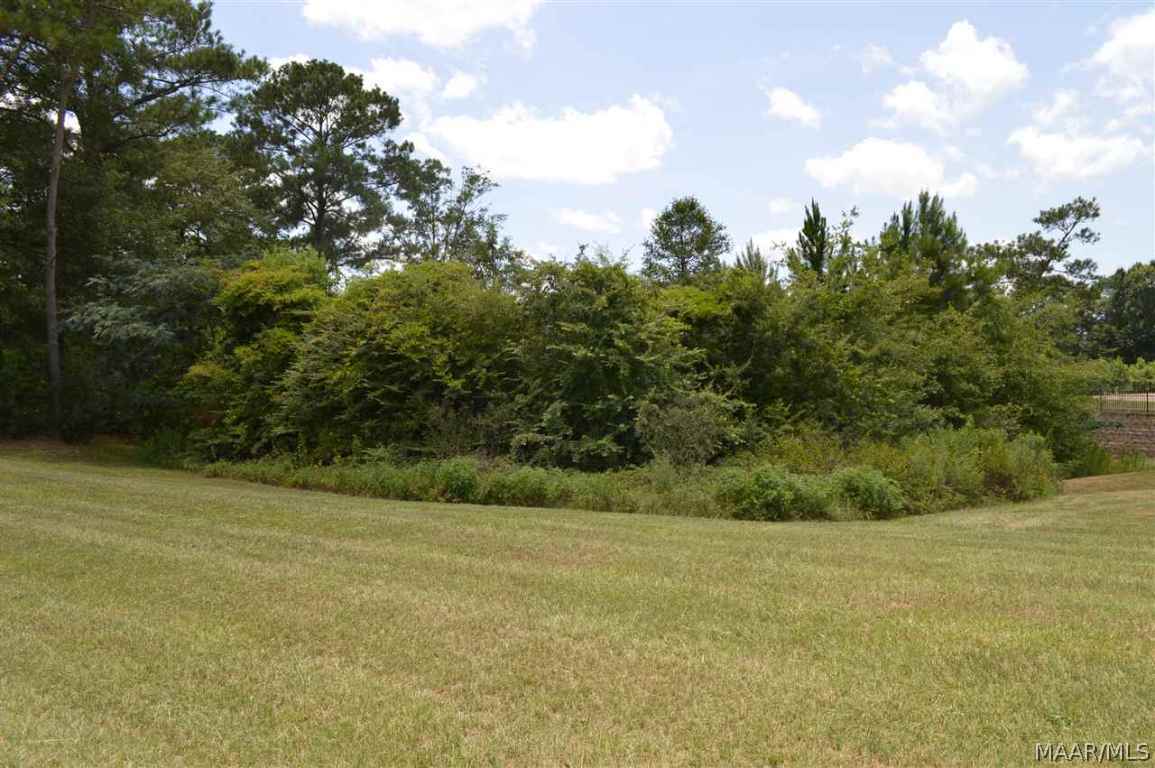 302 Rabbit Run Enterprise, AL 36330 - Photo 16 of 36 Gallery Image 16