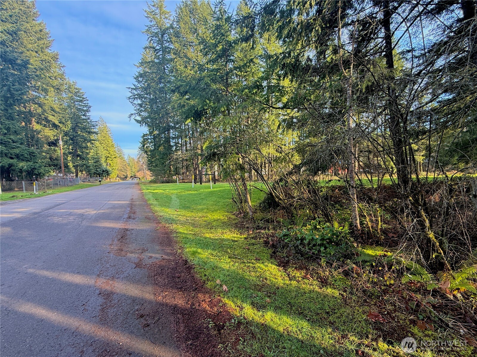 20403 Southeast 248th Street Maple Valley, WA 98038 - Photo 12 of 38 a view of a park with large trees