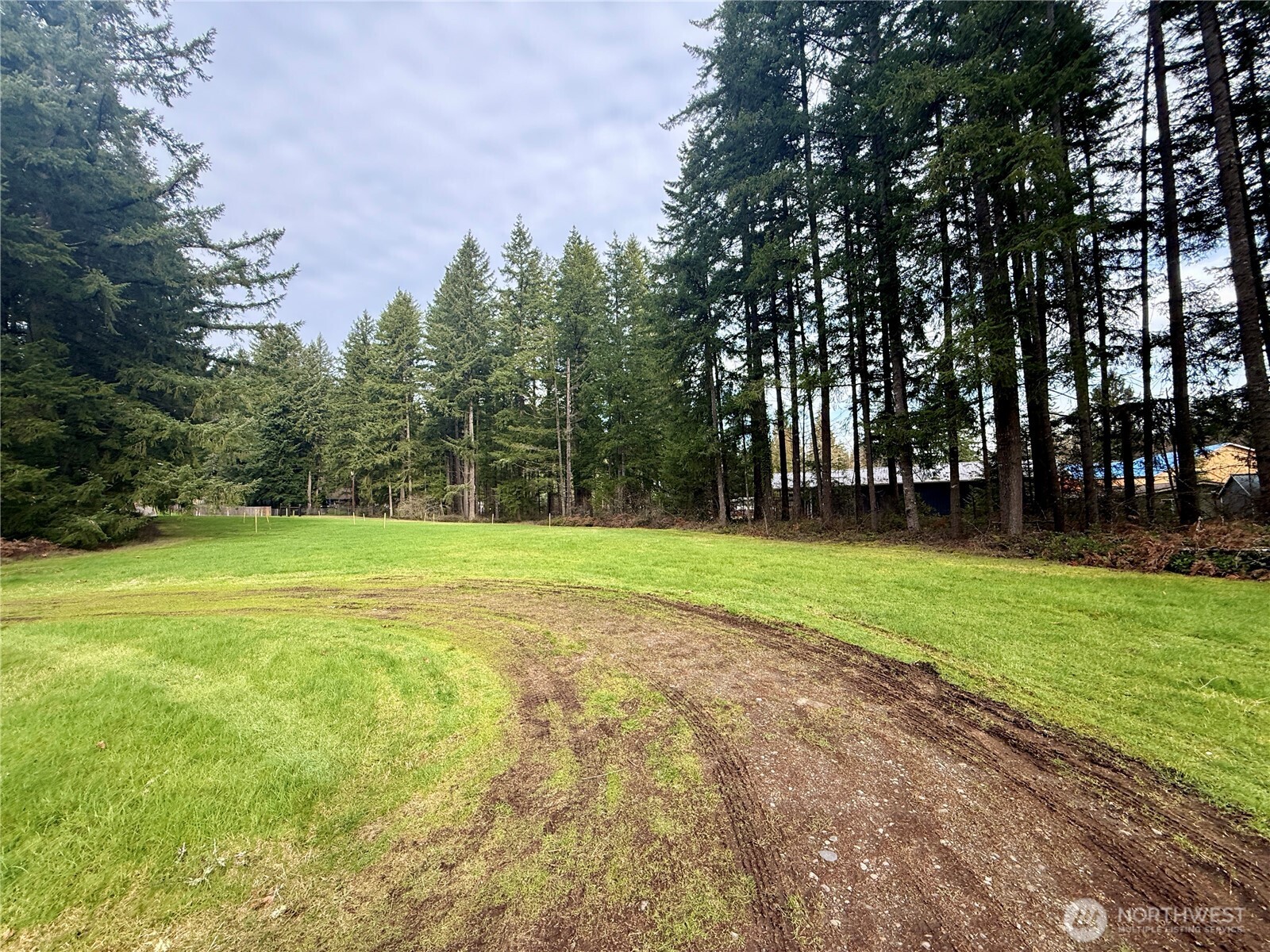 20403 Southeast 248th Street Maple Valley, WA 98038 - Photo 28 of 38 a view of a park with large trees