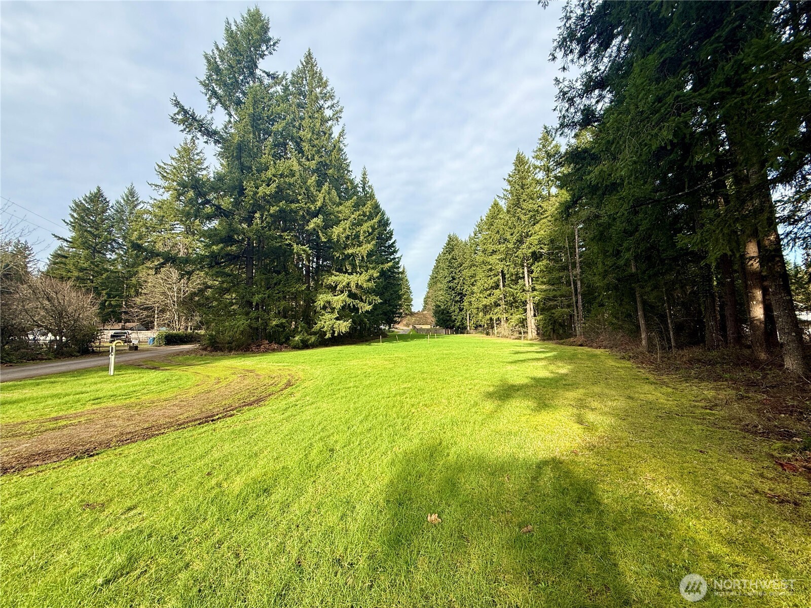20403 Southeast 248th Street Maple Valley, WA 98038 - Photo 3 of 38 a view of a yard with swimming pool