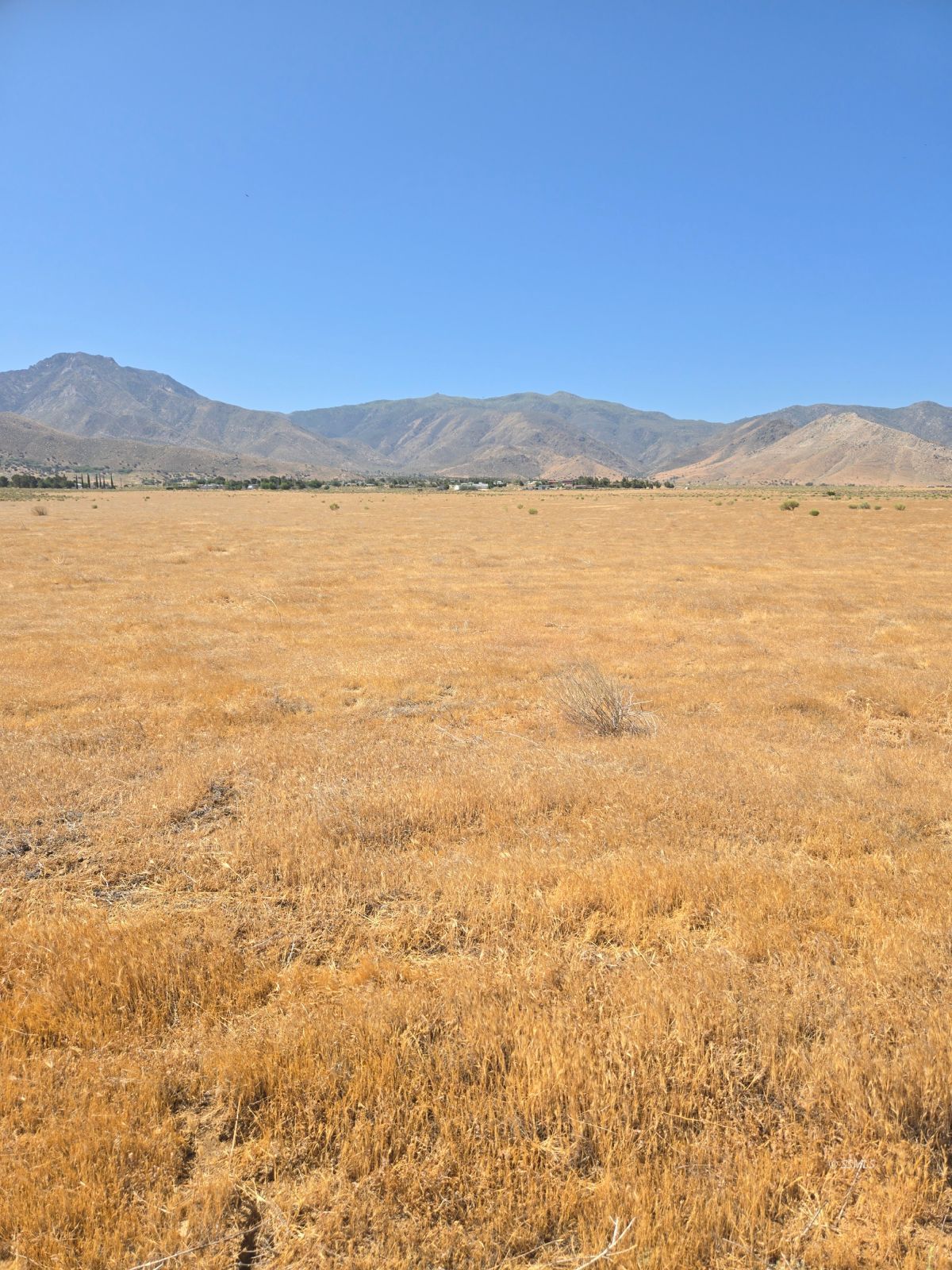 426-390-09 Lakeview Road Weldon, CA 93283 - Photo 1 of 7