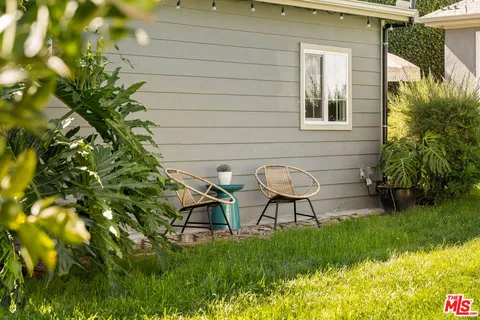 a view of a tree with plants