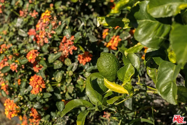 $899,000 | 5748 7th Avenue, Los Angeles, CA 90043