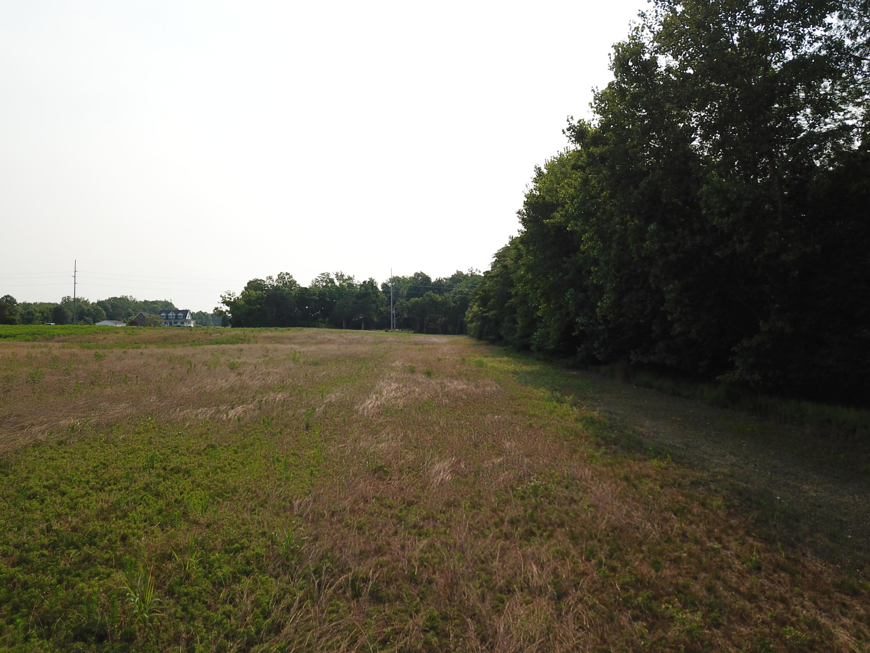 0 Brindle Road Ostrander, OH 43061 - Photo 8 of 9 DJI_0325
