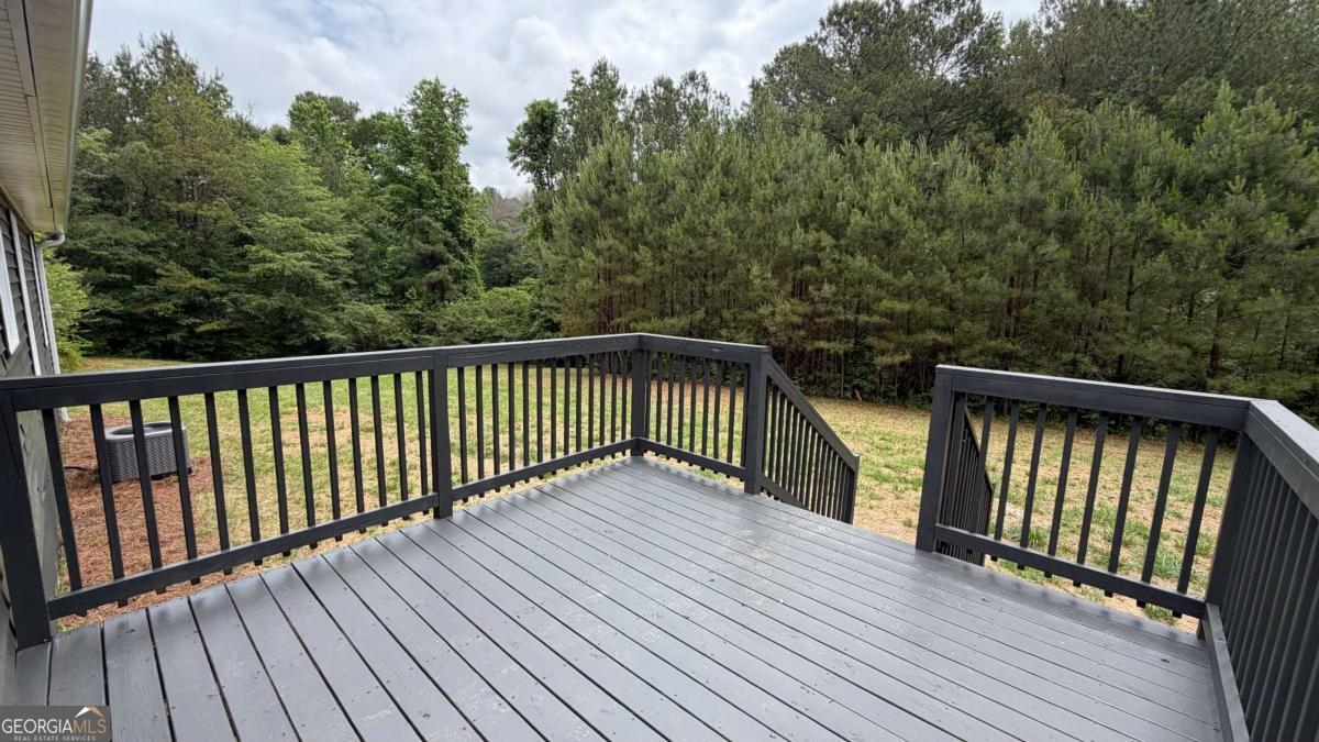 1646 Sandy Flat Road Bowdon, GA 30108 - Photo 43 of 46