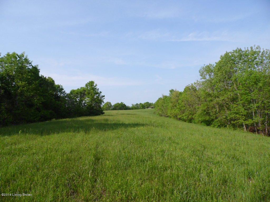 1025 Vaughn Road Lawrenceburg, KY 40342 - Photo 10 of 19 1609709_09