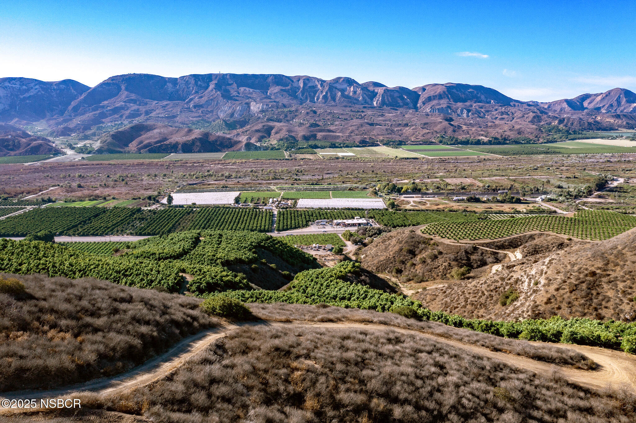 4 Oaks Ranch - Orchard and Valley Views
