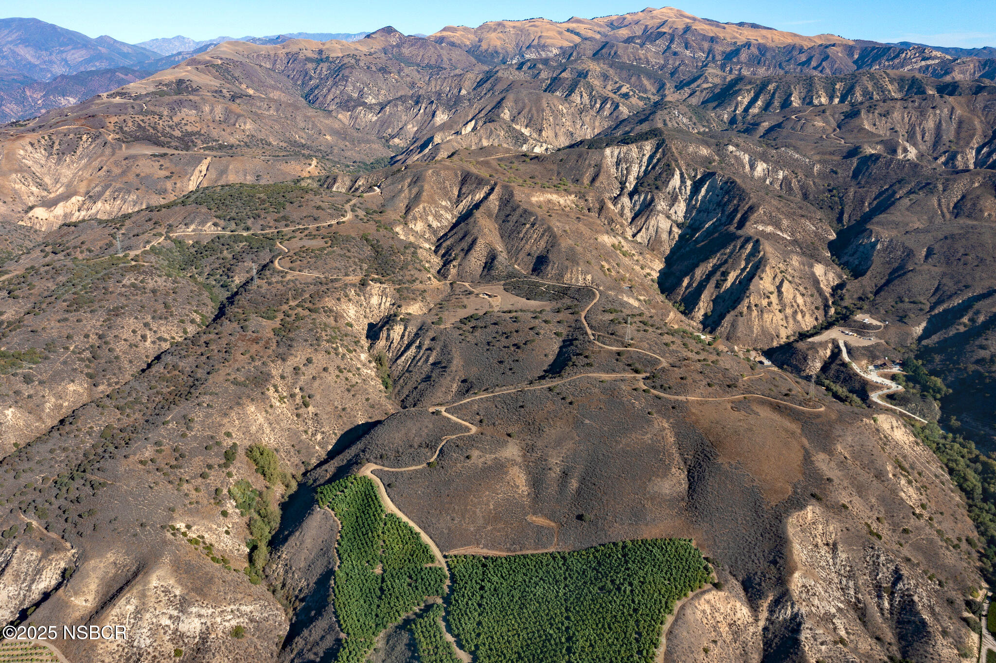 915 East Telegraph Road Fillmore, CA 93015 - Photo 2 of 24 Orchards and Road