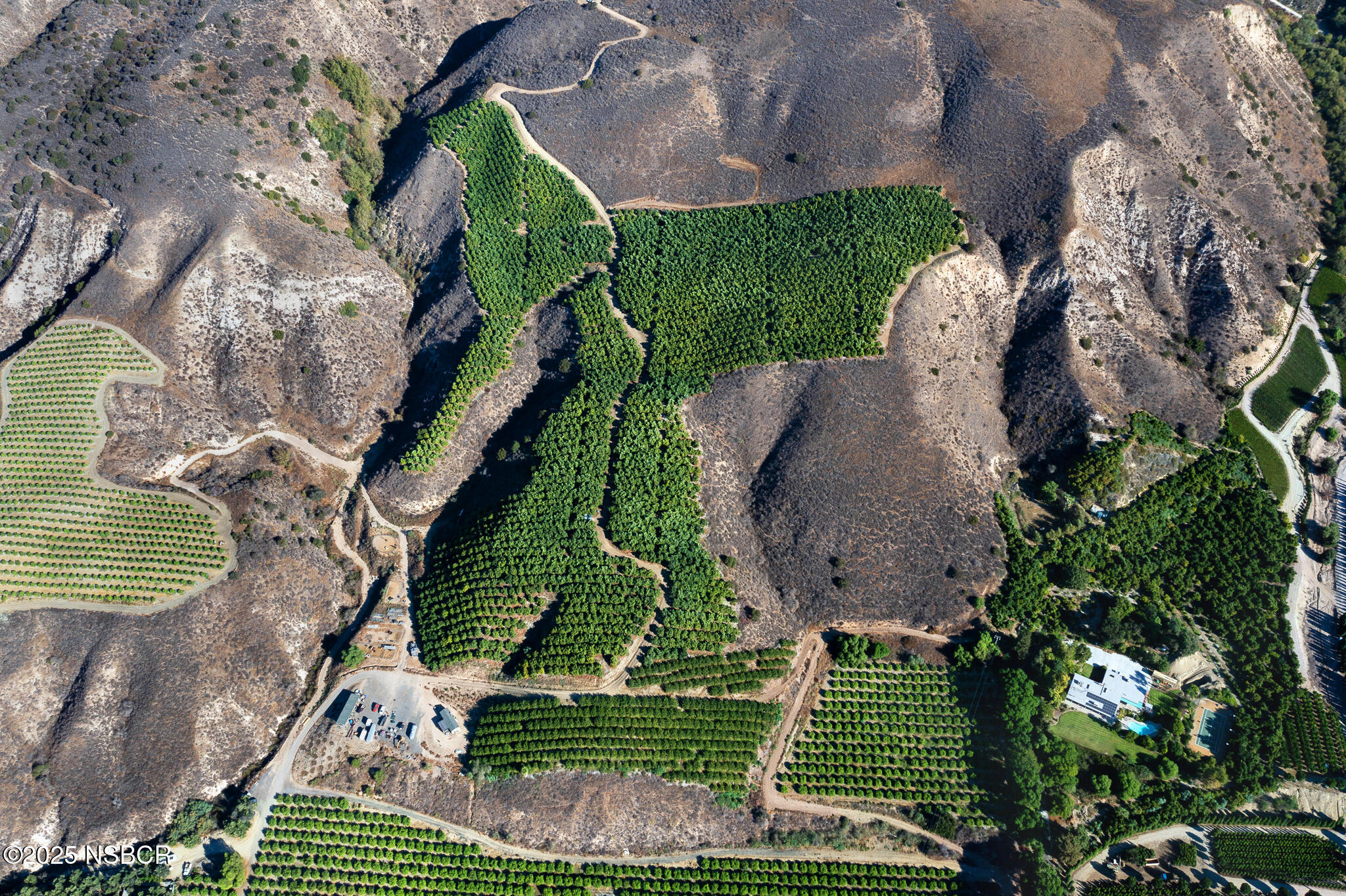 915 East Telegraph Road Fillmore, CA 93015 - Photo 3 of 24 Orchards