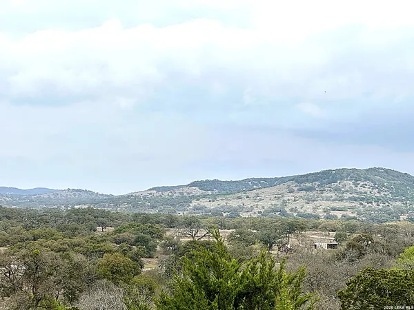 a view of a backyard with a large tree