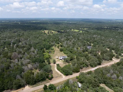 an aerial view of greenery
