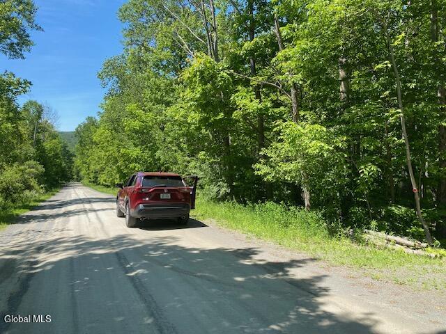 45 Weaver Dam Road Petersburgh, NY 12138 - Photo 21 of 21 IMG_5996