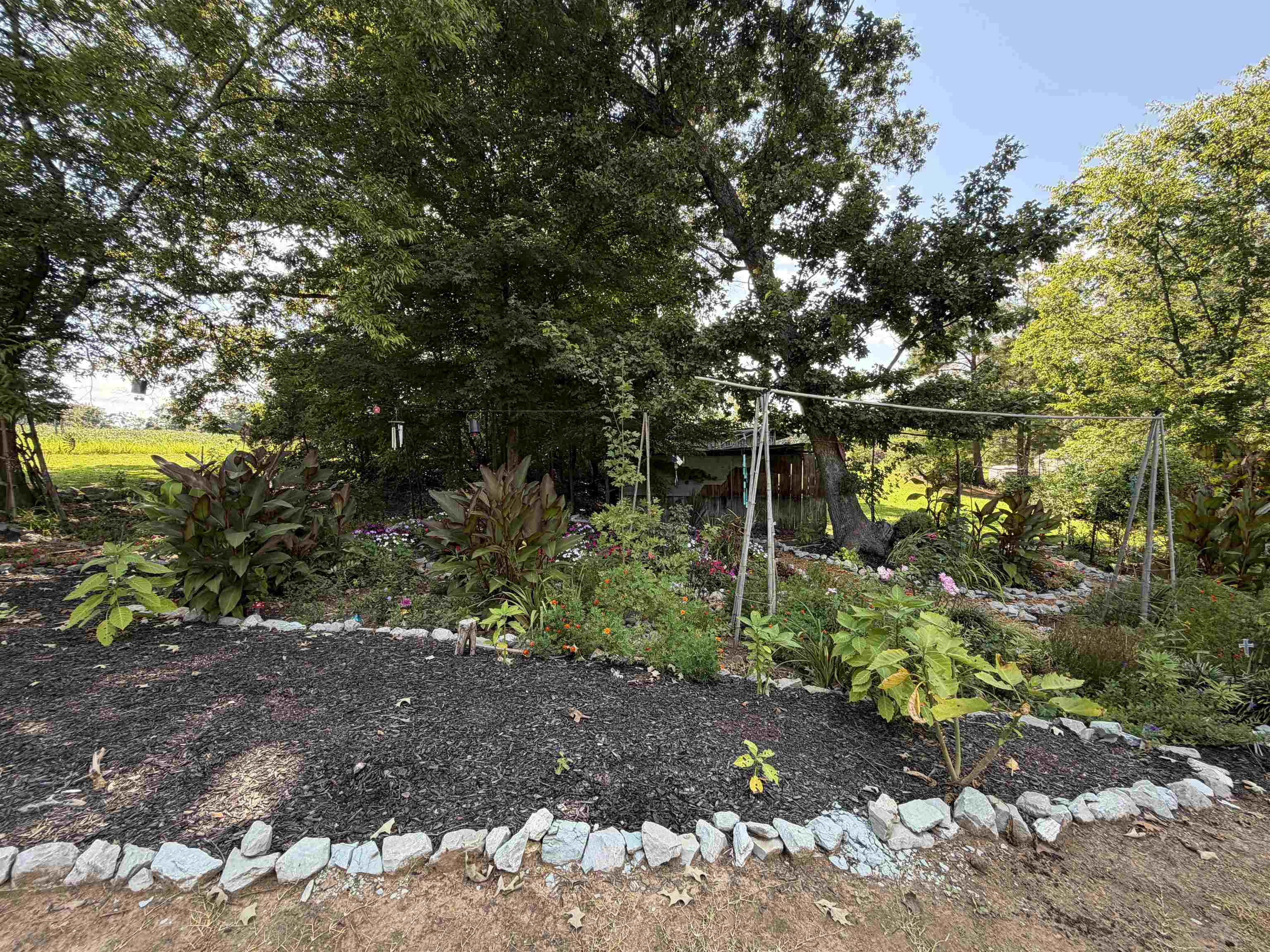 4190 Henderson Road Sardis, TN 38371 - Photo 32 of 40 Gallery Image 32
