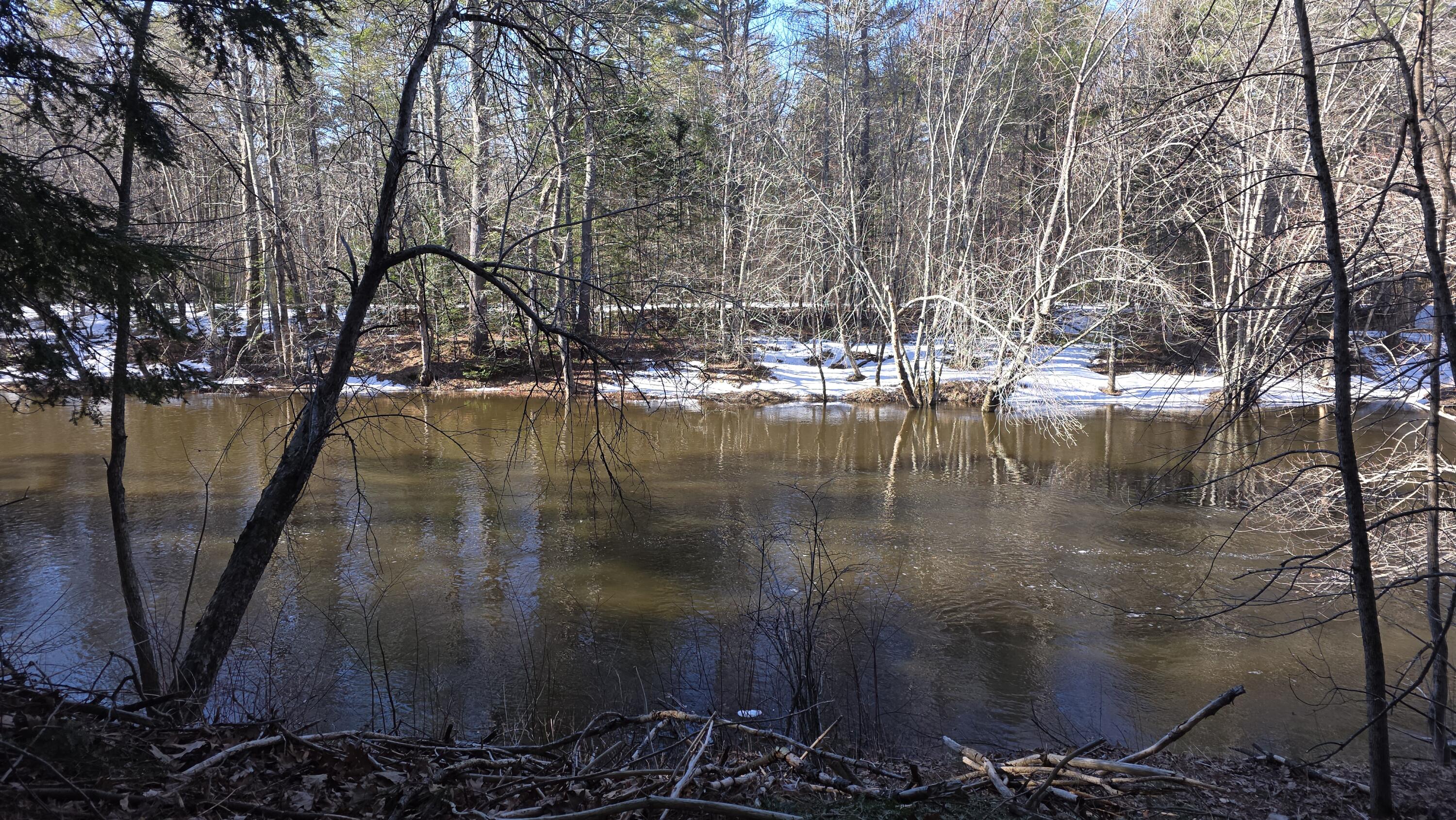 131 Mechanic Falls Road Oxford, ME 04270 - Photo 37 of 45 20260318_093435