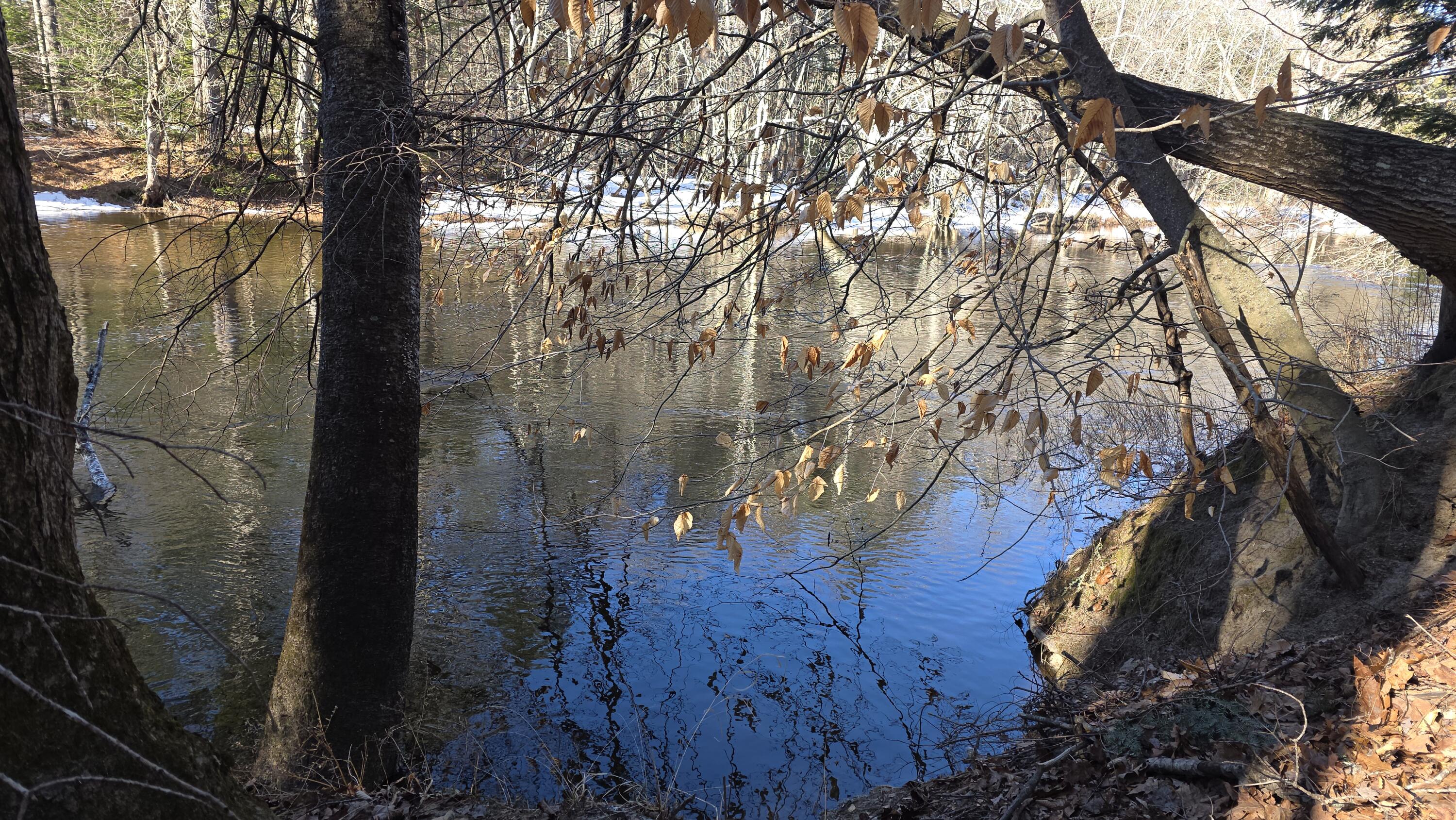 131 Mechanic Falls Road Oxford, ME 04270 - Photo 38 of 45 20260318_093611 - Copy