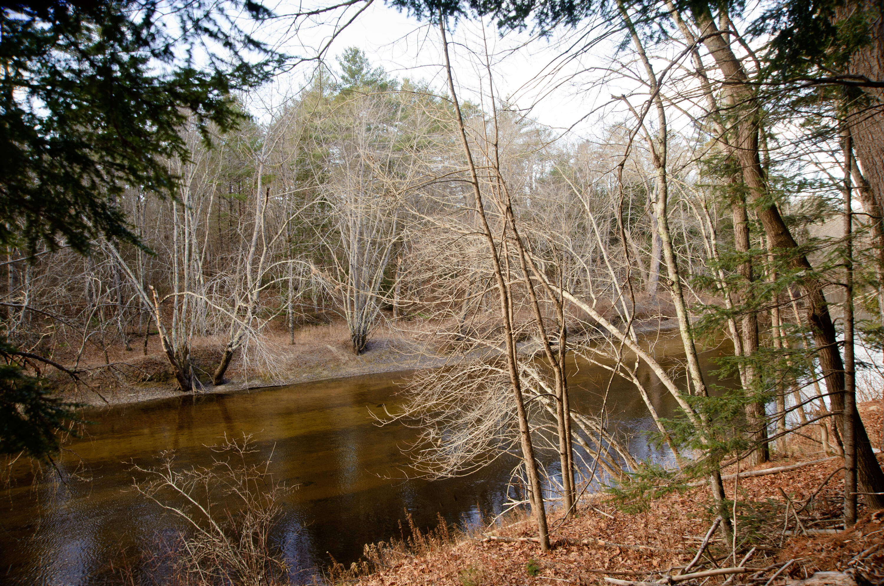 131 Mechanic Falls Road Oxford, ME 04270 - Photo 40 of 45 131McF Oxford 25_0119