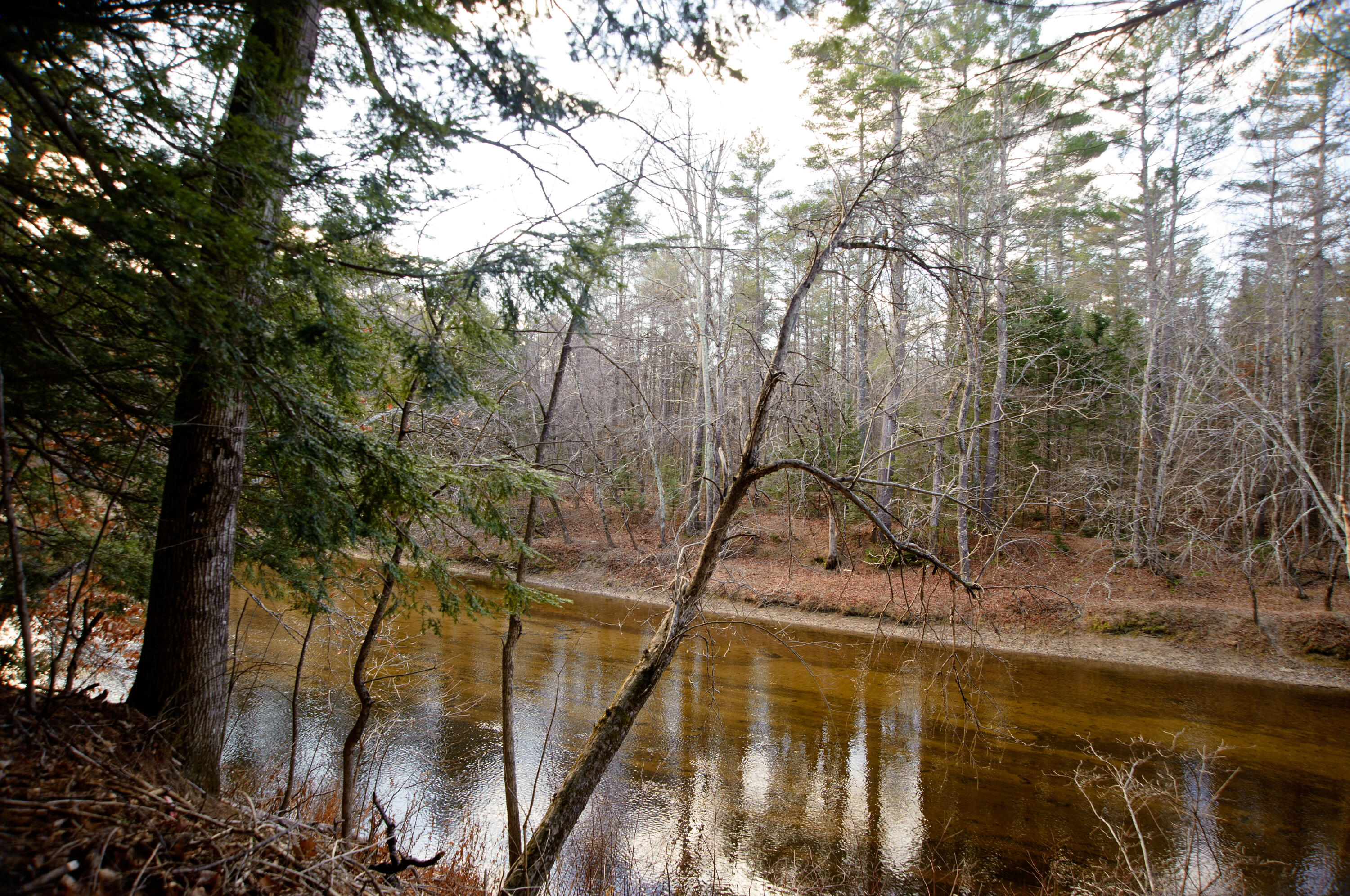 131 Mechanic Falls Road Oxford, ME 04270 - Photo 41 of 45 131McF Oxford 25_0121