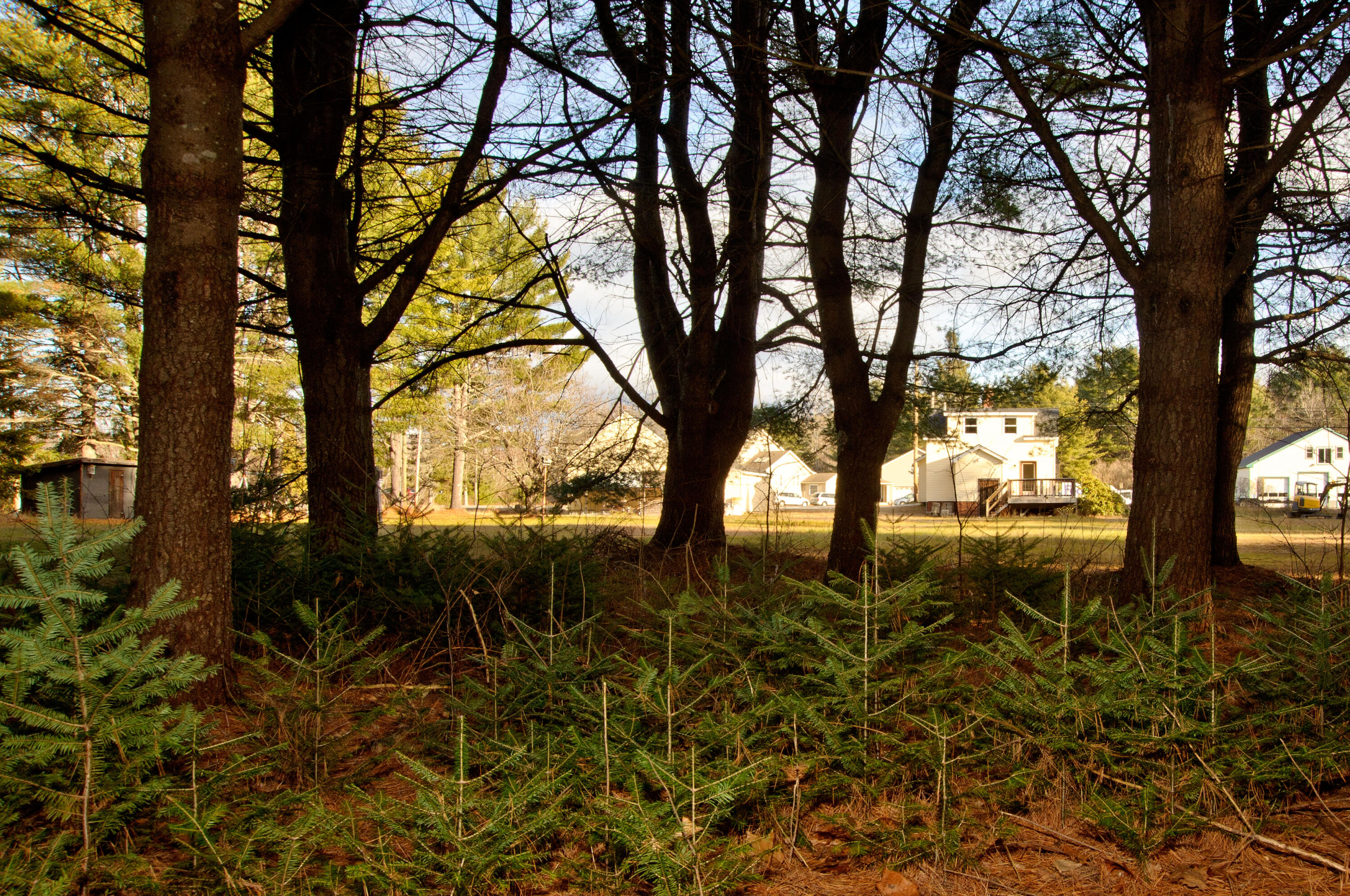 131 Mechanic Falls Road Oxford, ME 04270 - Photo 42 of 45 131McF Oxford 25_0125 (1)