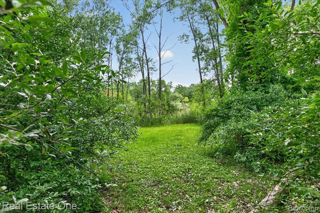 425 Courtney Road Leonard, MI 48367 - Photo 71 of 89 Gallery Image 71