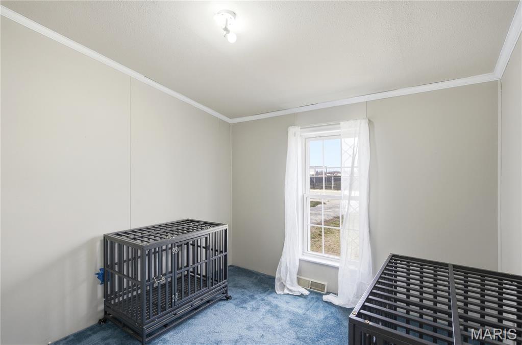 404 West Martin Street Cairo, MO 65239 - Photo 24 of 39