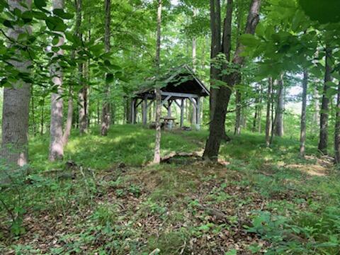 Garr Road Berrien Springs, MI 49103 - Photo 13 of 16 IMG_5598_3