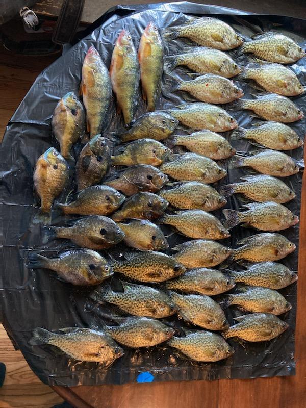 Garr Road Berrien Springs, MI 49103 - Photo 15 of 16 IMG_5606_2