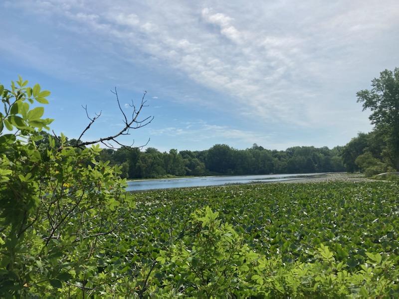 Garr Road Berrien Springs, MI 49103 - Photo 2 of 16 IMG_5603_2