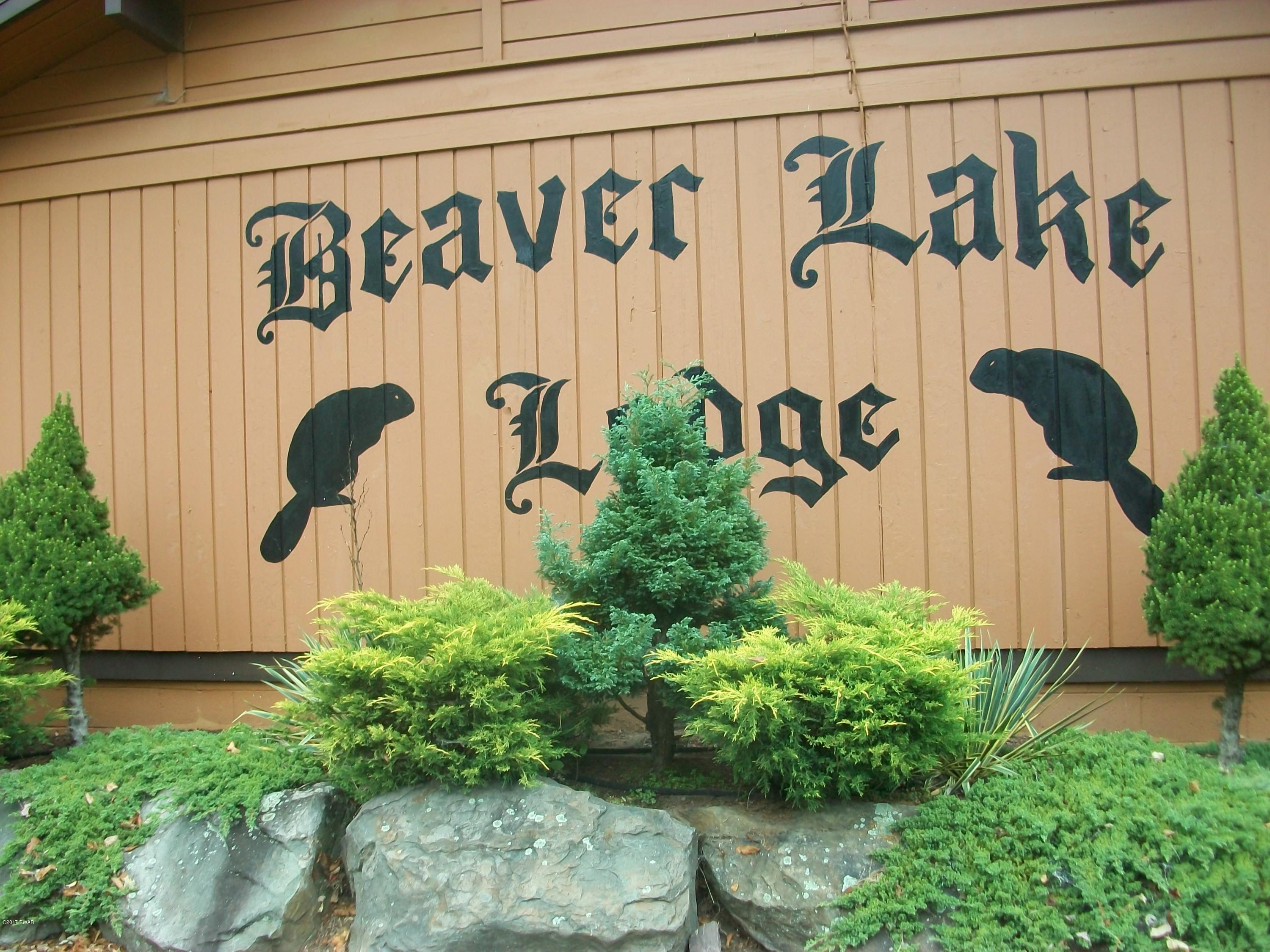 1045 Bear Trail Road Lake Ariel, PA 18436 - Photo 57 of 72