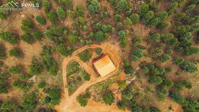258 Wahsatch Road Florissant, CO 80816 - Photo 6 of 31 Aerial view of property.