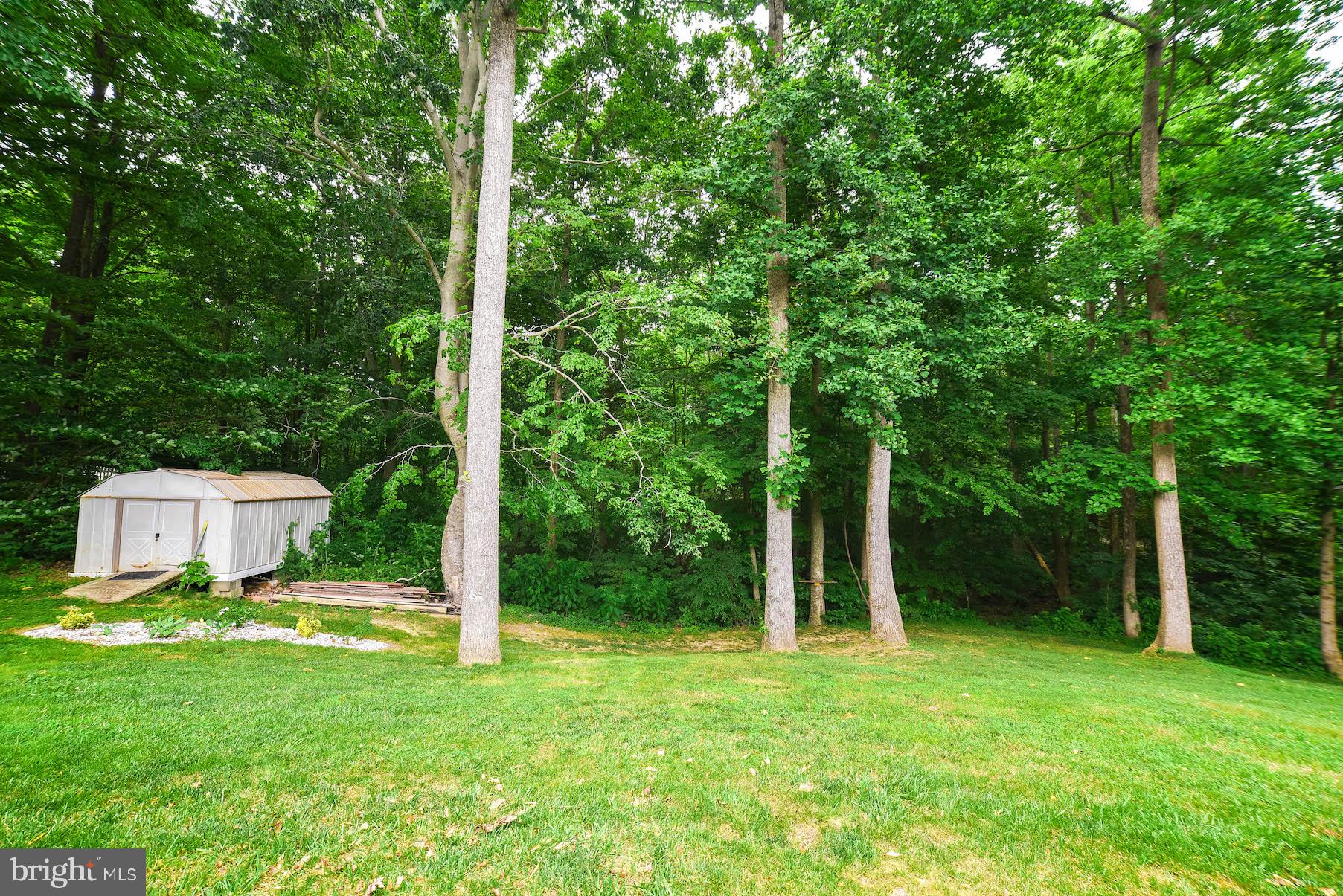 25828 Ricky Drive Hollywood, MD 20636 - Photo 35 of 42 Shed conveys with sale; great for storage!