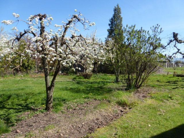 1143 Oak Grove Road Medford, OR 97501 - Photo 28 of 35 Additional Photo