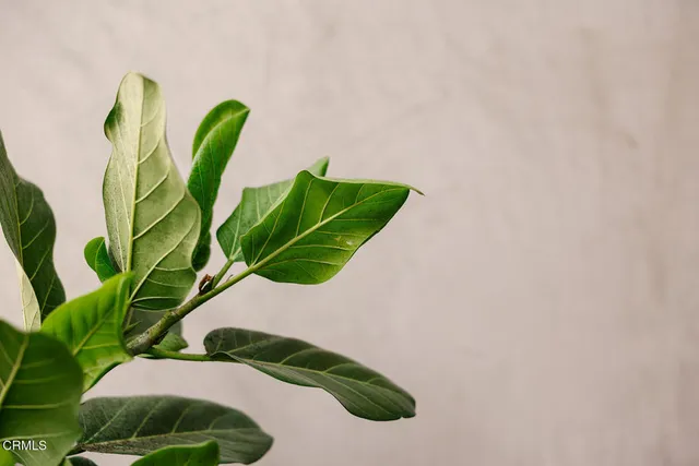 $2,055,000 | 124 West Colorado Street, Unit 501, Glendale, CA 91204